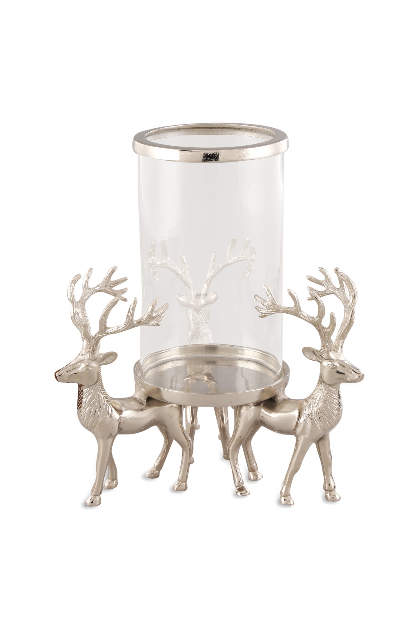 Reindeer -3965