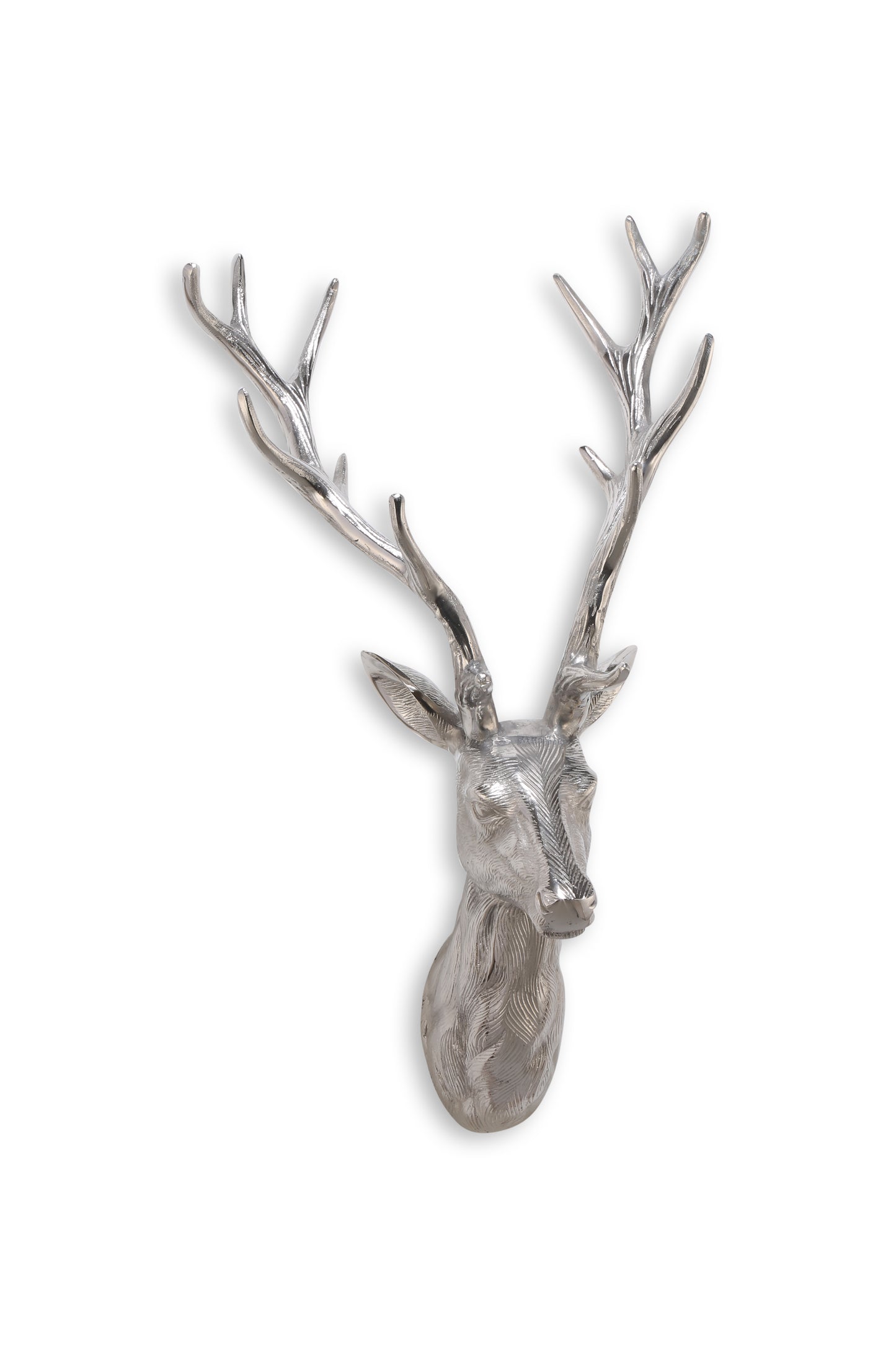 Reindeer-4561